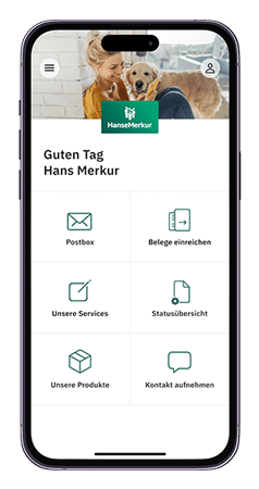 hansemerkur service app