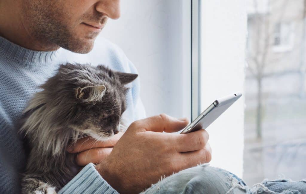 hansemerkur tierversicherung katze beratung