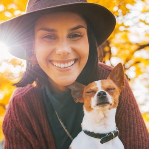 hansemerkur hundeversicherung hier abschliessen